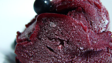 Sorbet cassis