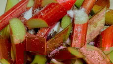 Gelée de rhubarbe et orange