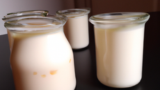 Yaourts au sirop d'érable