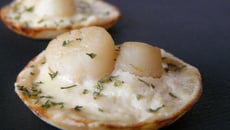 Mini-tartelettes de poisson et Saint Jacques