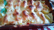 Gratin d'hiver facile