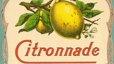 Citronnade économique