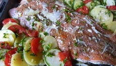 Filet de saumon au four