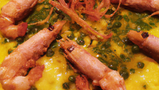 Œuf mimosa aux crevettes