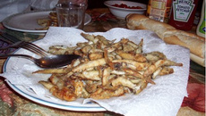Friture d'éperlan