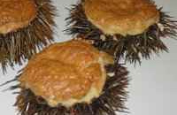 Les oursins soufflés