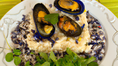 Moule à la savoyarde et son riz safrané