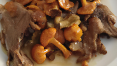 Pigeons aux girolles