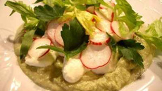 Crème froide d'avocat-citron, émulsion pomme-fenouil, radis et céleri croquants