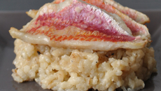 Filets de rougets au four sur risotto au parmesan