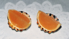 Pamplemousse en coque