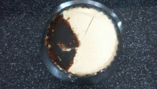 Key Lime ou cheesecake sans cuisson made in USA