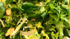 Salade complétement verte