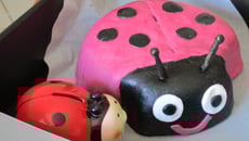 Gâteau coccinelle 3D