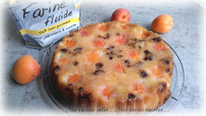 Gâteau aux abricots et cranberries