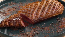 Magret de canard et sauce au cacao