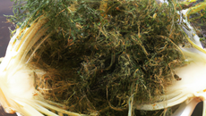 Le fenouil à la provençale