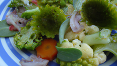 Salade de chou-fleur et brocoli aux fruits de mer
