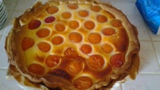 Tarte abricots et fromage blanc