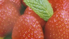 Tartelettes light aux fraises