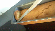 Cake au crabe (minceur)