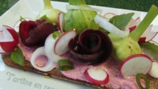 Tartine en rose et vert