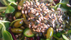 Salade d'hiver au graines germées