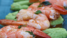 Brochette de crevettes marinées et crème d'avocat concombre