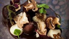 Champignons de Paris, café illy et purée de panais