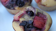 Petits moelleux à la rhubarbe et aux myrtilles