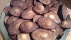 Madeleines, recette au yaourt