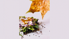 Salade de quinoa et de radis