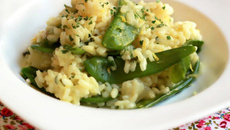 Risotto citron -pois gourmands