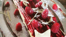 Bûche de Noël aux fruits rouges sans gluten