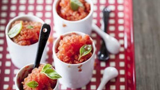 Sorbet Tomacouli, basilic et citron