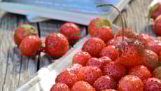 Tartine fraises et beurre de cacahuète