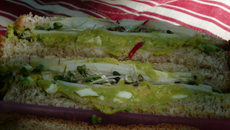 Sandwich à l'avocat et au surimi