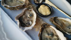 Huîtres au roquefort