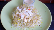 Nid d'Alfafa et ses trésors nappé de sa sauce amandes