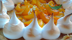tarte aux abricots meringuée