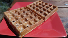 Gaufre protéine light