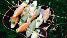 Conchiglioni fraicheur au roquefort