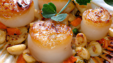 Noix de saint jacques aux légumes oubliés