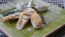 Suprême de volaille fermière de Gascogne panée, émulsion de noisettes du Lot-et-Garonne grillées aux herbes