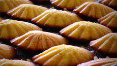 Madeleines sans beurre