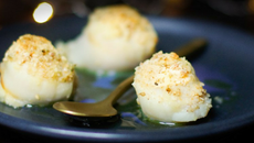 Saint Jacques parmesan et noisettes