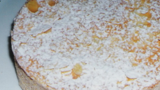 Biscuit noisettes - mousse pralinée