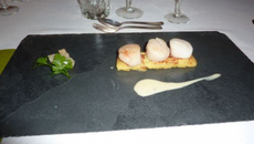 Saint-Jacques poêlées, crêpe de pommes de terre et réduction au curry