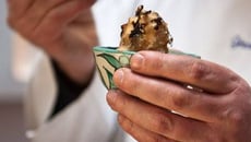 Sorbet au café et à la cardamome