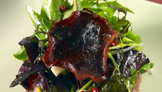 Magret de canard en tartare